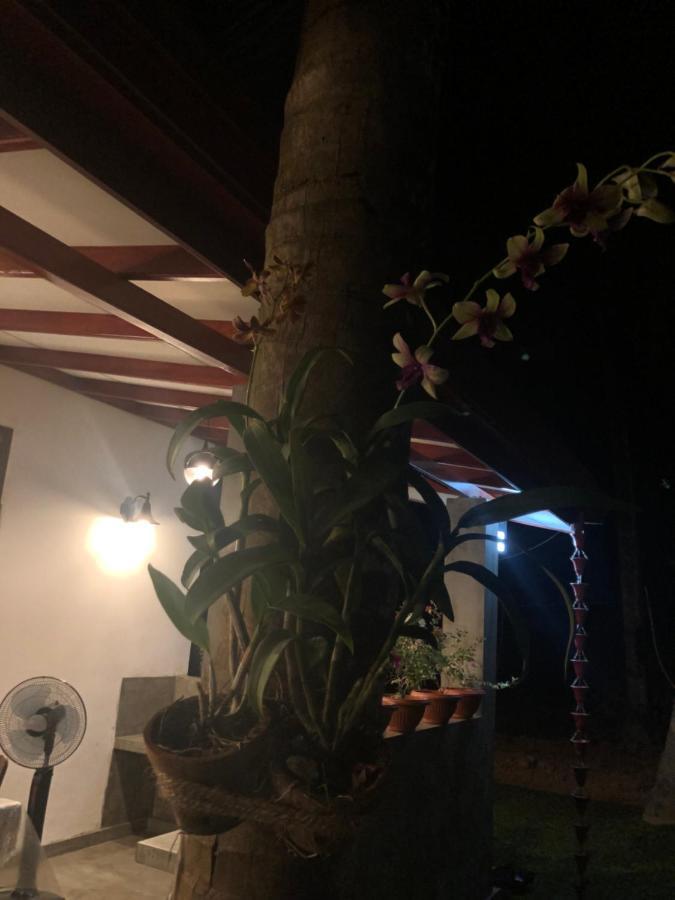 דיקוולה Lohas Villa Hiriketiya מראה חיצוני תמונה