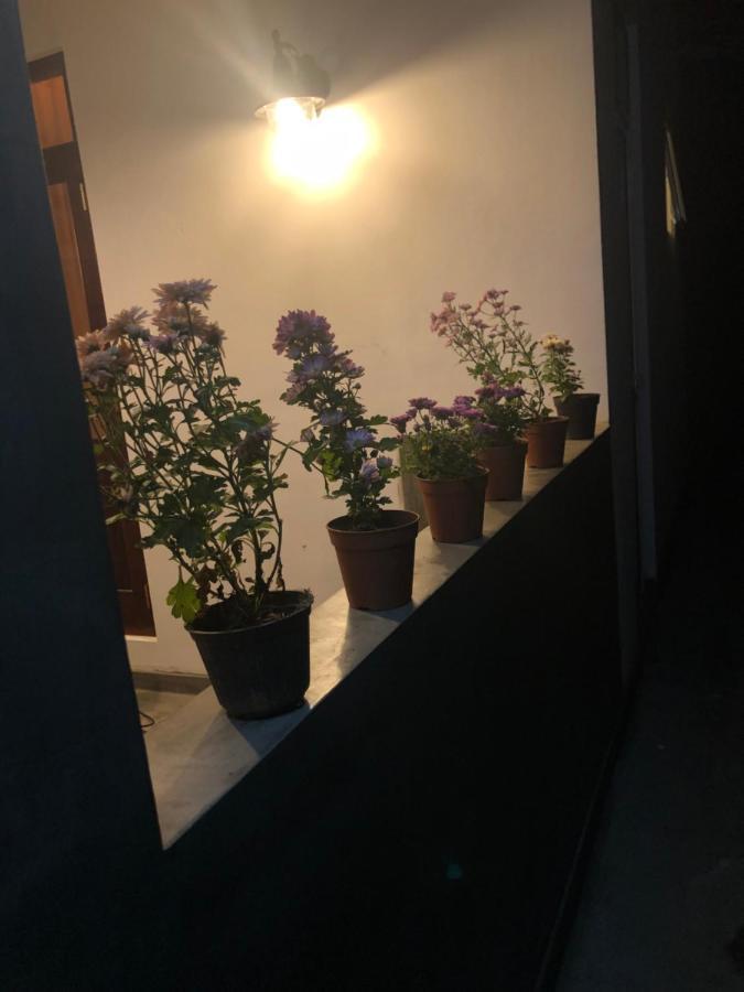 דיקוולה Lohas Villa Hiriketiya מראה חיצוני תמונה