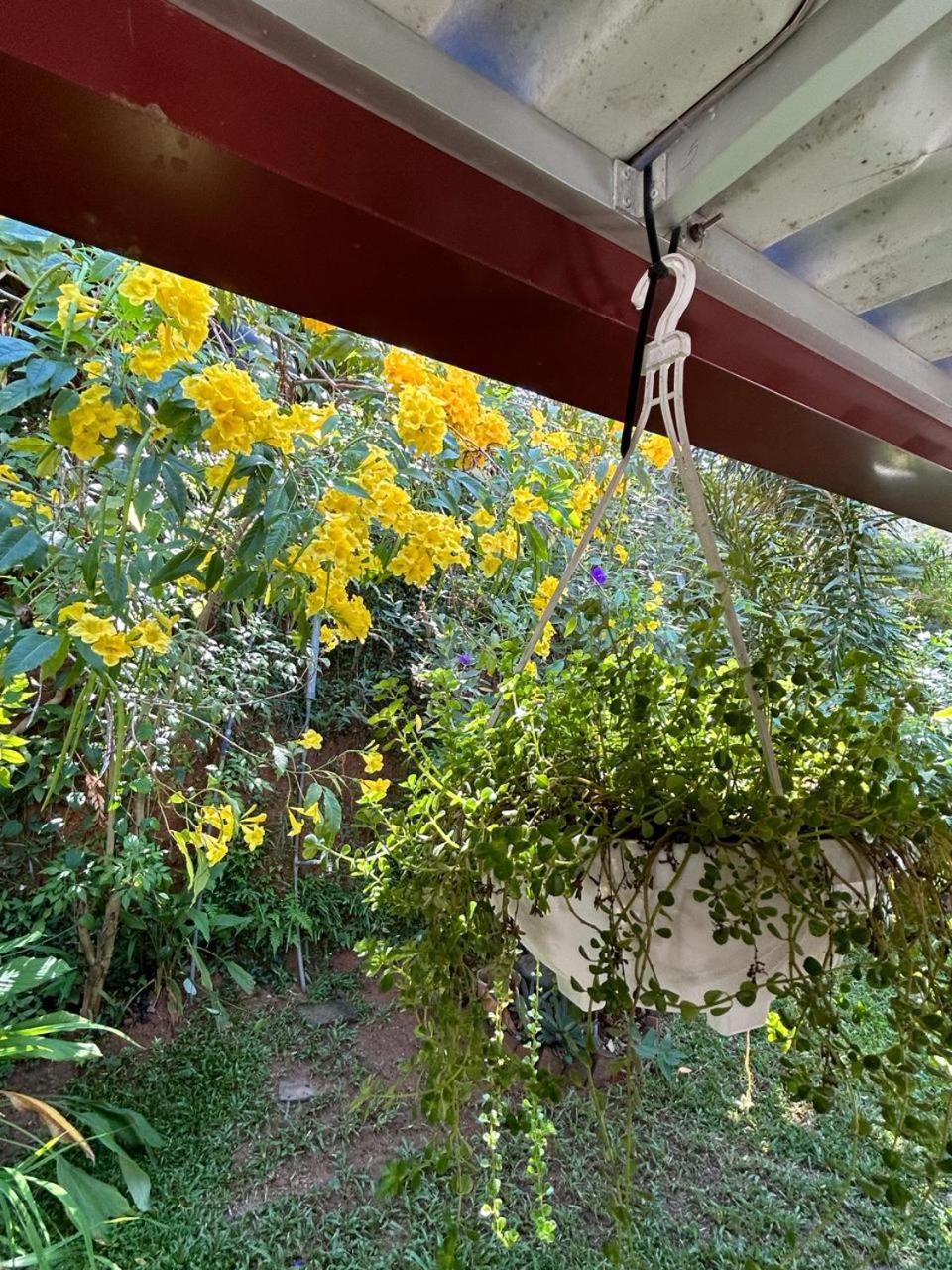 דיקוולה Lohas Villa Hiriketiya מראה חיצוני תמונה
