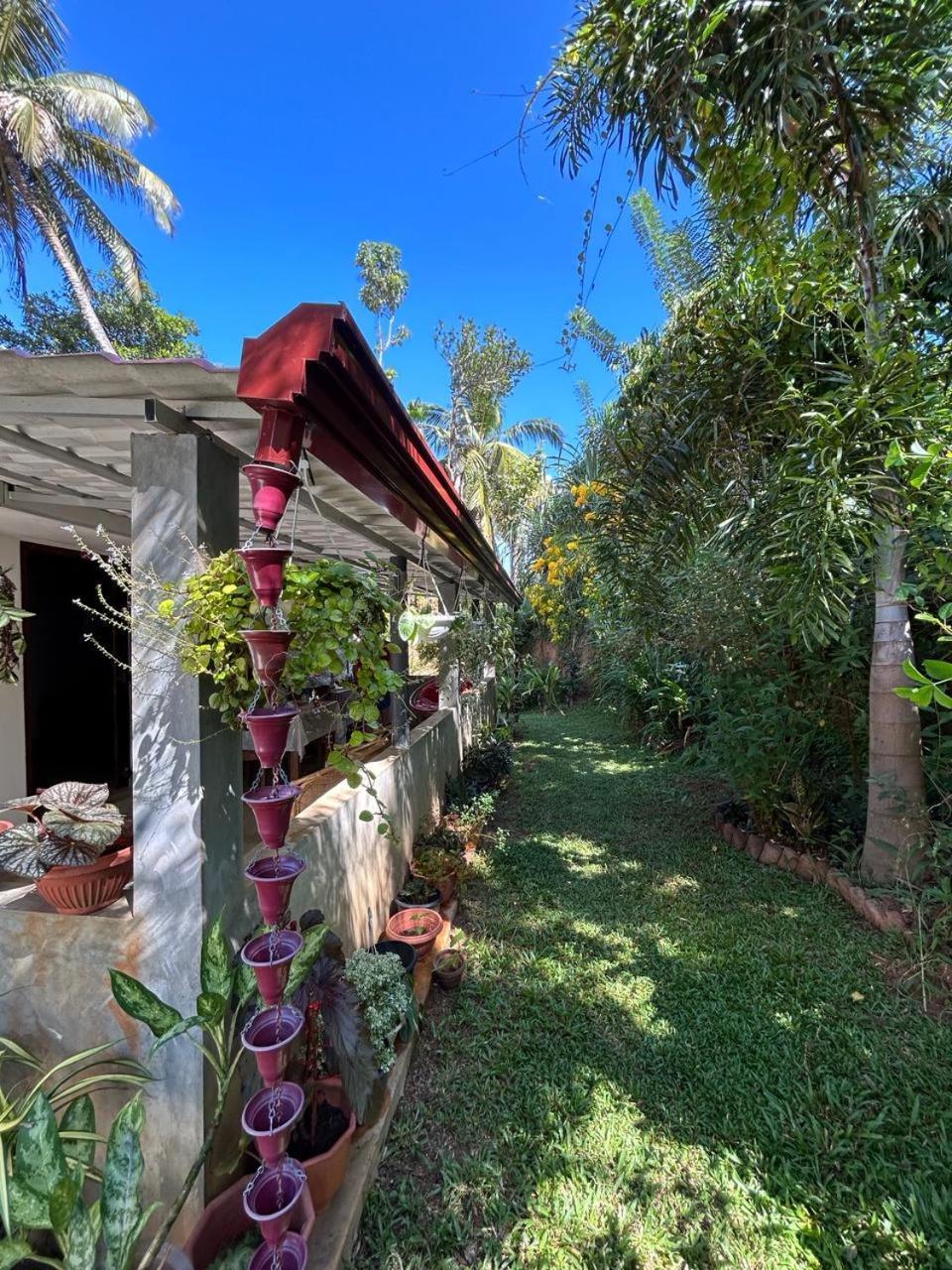 דיקוולה Lohas Villa Hiriketiya מראה חיצוני תמונה